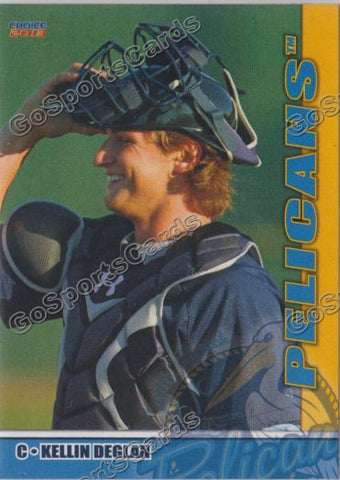 2013 Myrtle Beach Pelicans Kellin Deglan