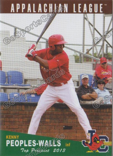 2013 Appalachian League Top Prospect Kenny Peoples Walls
