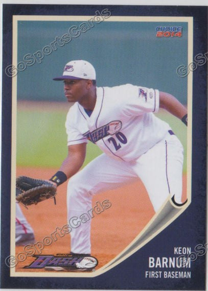 2014 Winston Salem Dash Keon Barnum
