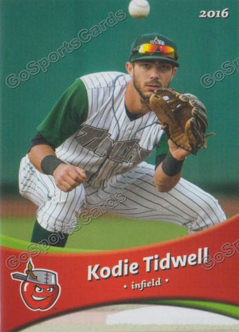 2016 Fort Wayne Tin Caps Kodie Tidwell