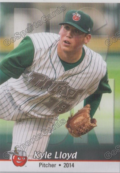 2014 Fort Wayne TinCaps Kyle Lloyd