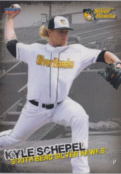 2014 South Bends Silver Hawks Kyle Schepel