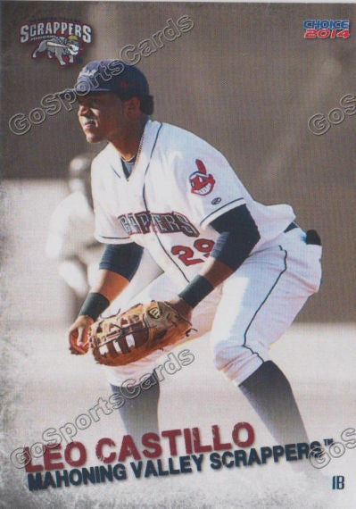 2014 Mahoning Valley Scrappers Leo Castillo