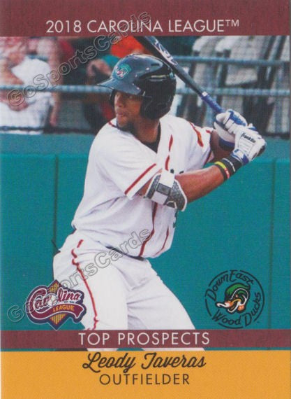 2018 Carolina League Top Prospects Leody Taveras