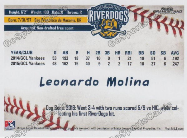 2016 Charleston RiverDogs Leonardo Molina Back of Card