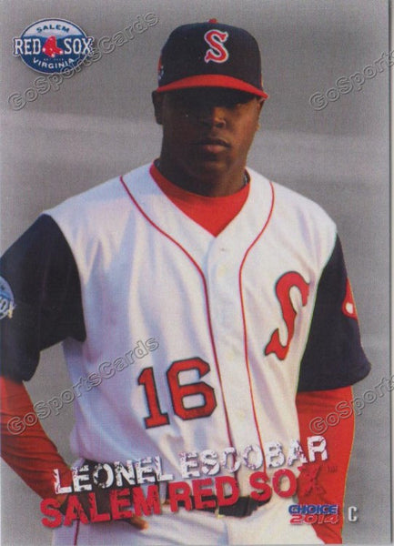 2014 Salem Red Sox Leonel Escobar