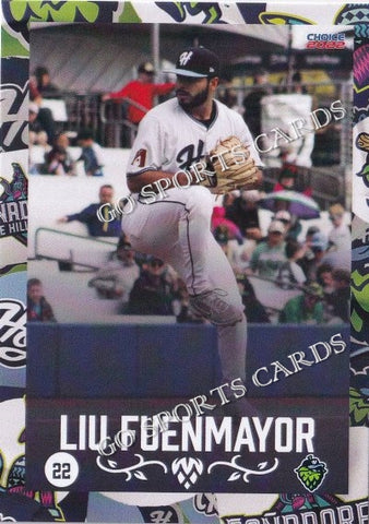 2022 Hillsboro Hops Liu Fuenmayor