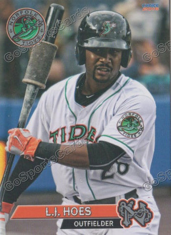 2016 Norfolk Tides LJ Hoes