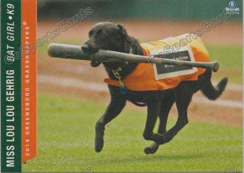 2014 Greensboro Grasshoppers Miss Lou Lou Gehrig