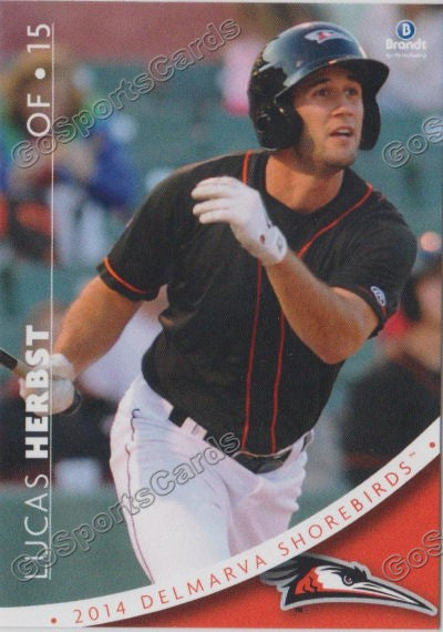 2014 Delmarva Shorebirds Lucas Herbst