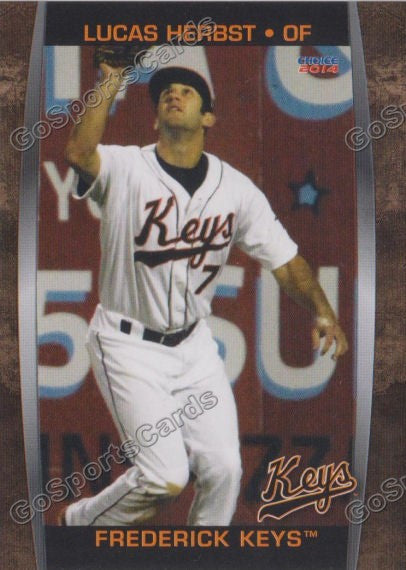 2014 Frederick Keys Lucas Herbst