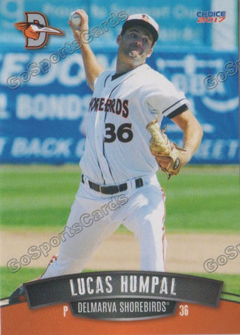2017 Delmarva Shorebirds Lucas Humpal