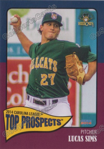 2014 Carolina League Top Prospect Lucas Sims