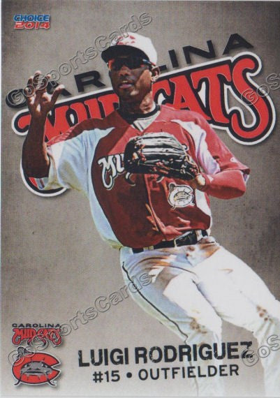 2014 Carolina Mudcats Luigi Rodriguez