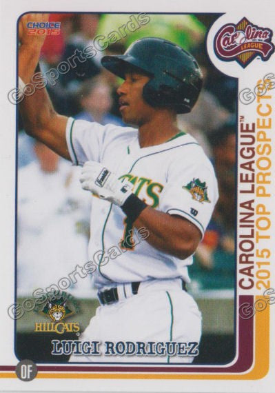 2015 Carolina League Top Prospect Luigi Rodriguez