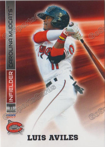 2017 Carolina Mudcats Luis Aviles