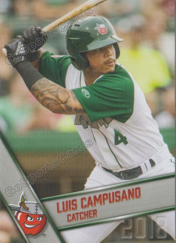 2018 Fort Wayne TinCaps Luis Campusano