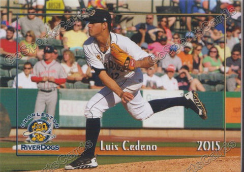2015 Charleston Riverdogs Luis Cedeno