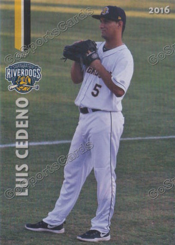 2016 Charleston RiverDogs Luis Cedeno