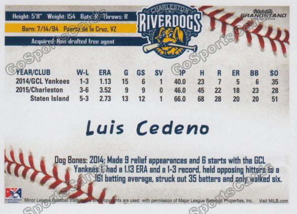 2016 Charleston RiverDogs Luis Cedeno Back of Card