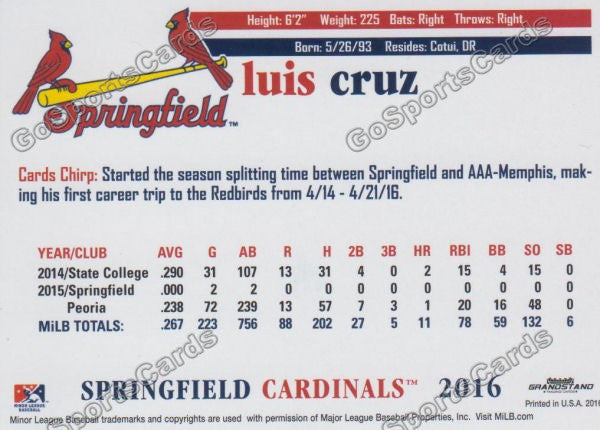 2016 Springfield Cardinals Luis Cruz Back of Card