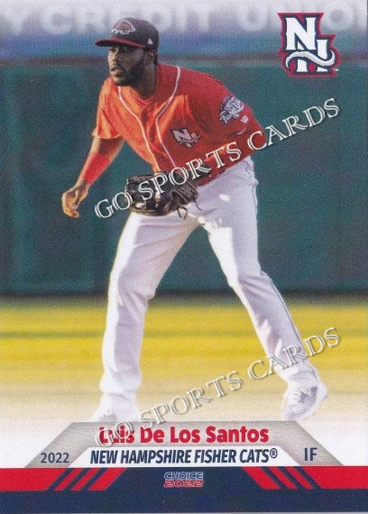 2022 New Hampshire Fisher Cats Luis De Los Santos