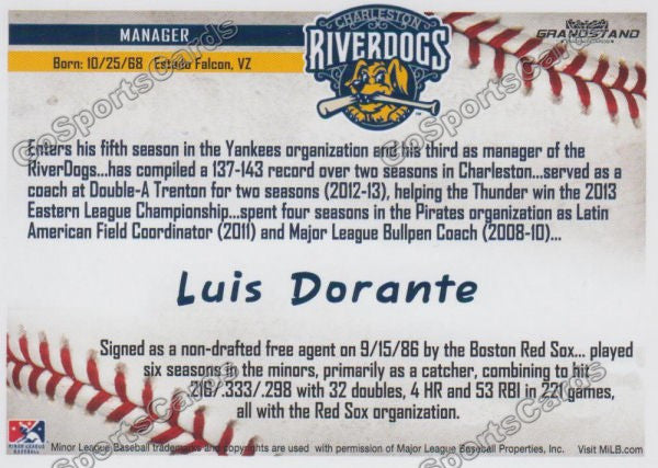 2016 Charleston RiverDogs Luis Dorante Back of Card