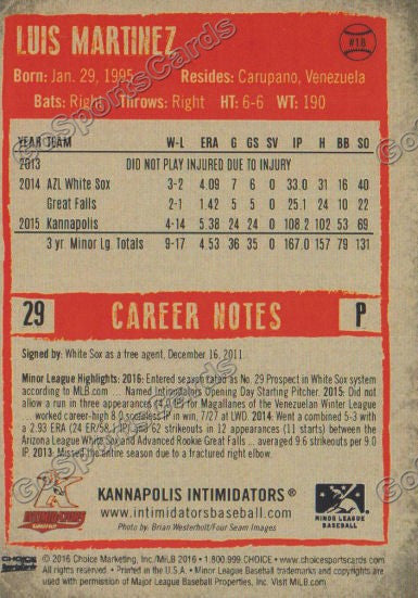  2016 Kannapolis Intimidators Luis Martinez Back of Card