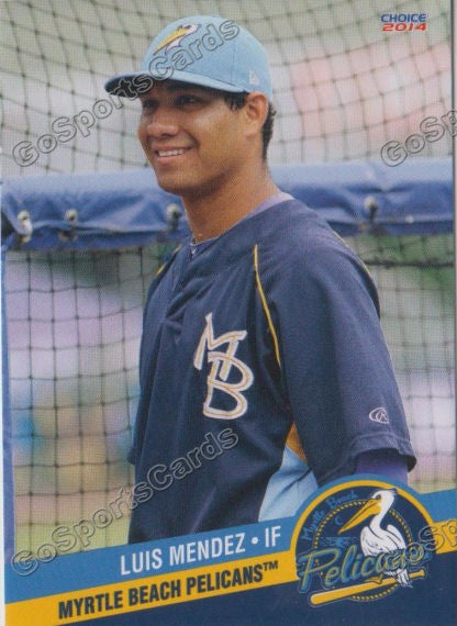 2014 Myrtle Beach Pelicans Luis Mendez