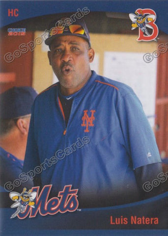 2015 Binghamton Mets Luis Natera