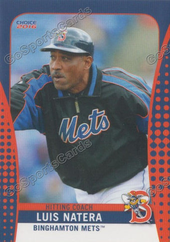 2016 Binghamton Mets Luis Natera