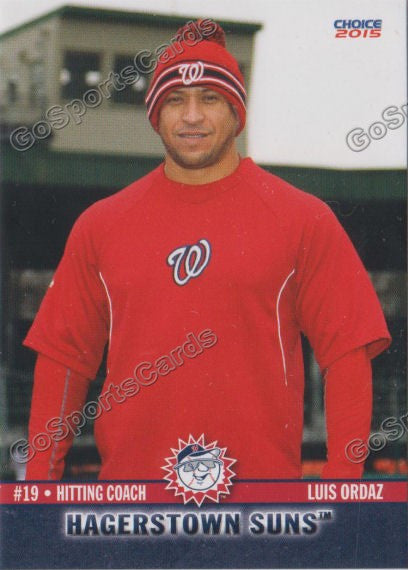 2015 Hagerstown Suns Luis Ordaz