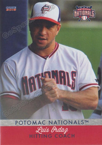 2018 Potomac Nationals Luis Ordaz