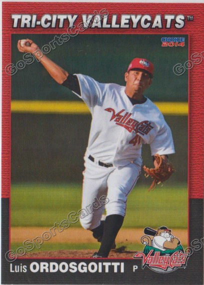 2014 Tri City ValleyCats Luis Ordosgoitti