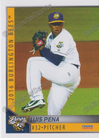 2016 Burlington Bees Luis Pena