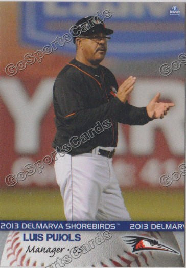 2013 Delmarva Shorebirds Luis Pujols