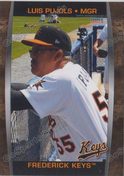 2014 Frederick Keys Luis Pujols