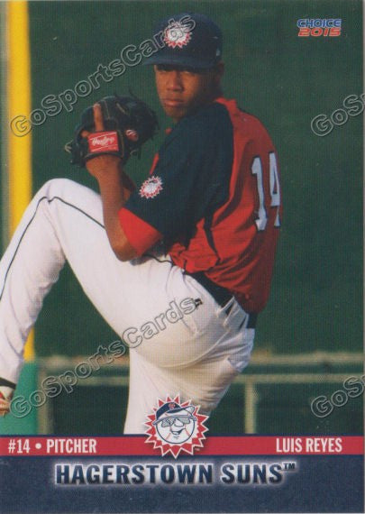 2015 Hagerstown Suns Luis Reyes