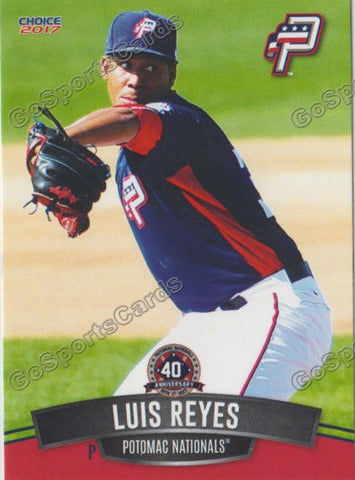 2017 Potomac Nationals Luis Reyes