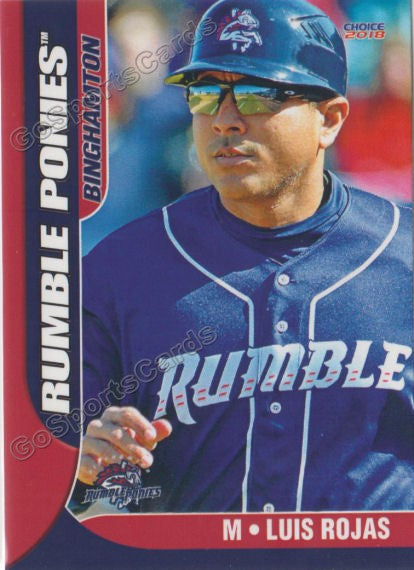 2018 Binghamton Rumble Ponies Luis Rojas