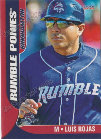 2018 Binghamton Rumble Ponies Luis Rojas