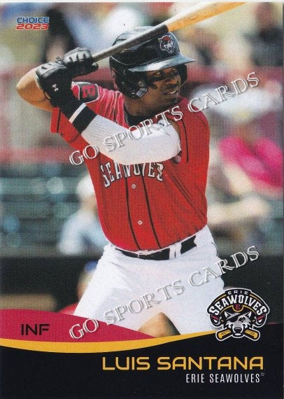 2023 Erie SeaWolves Luis Santana