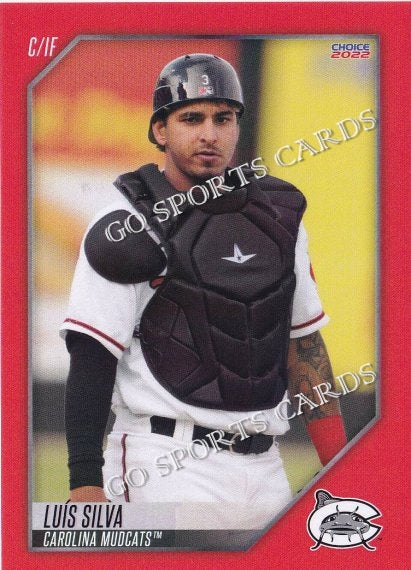 2022 Carolina Mudcats Luis Silva