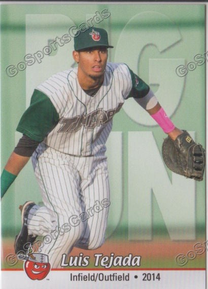 2014 Fort Wayne TinCaps Luis Tejada