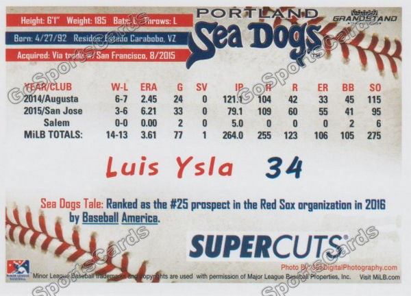 2016 Portland Sea Dogs Luis Ysla Back of Card