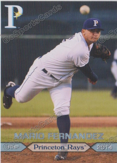 2014 Princeton Rays Mario Fernandez