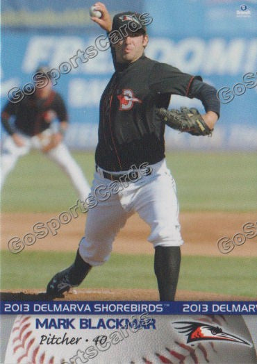 2013 Delmarva Shorebirds Mark Blackmar