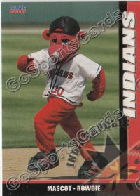 2006 Indianapolis Indians Rowdie Mascot