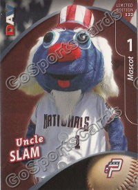 2009 Potomac Nationals DAV Uncle Sam