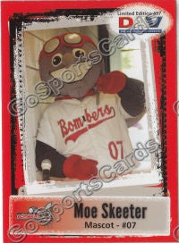 2011 Battle Creek Bombers DAV Moe Skeeter Mascot